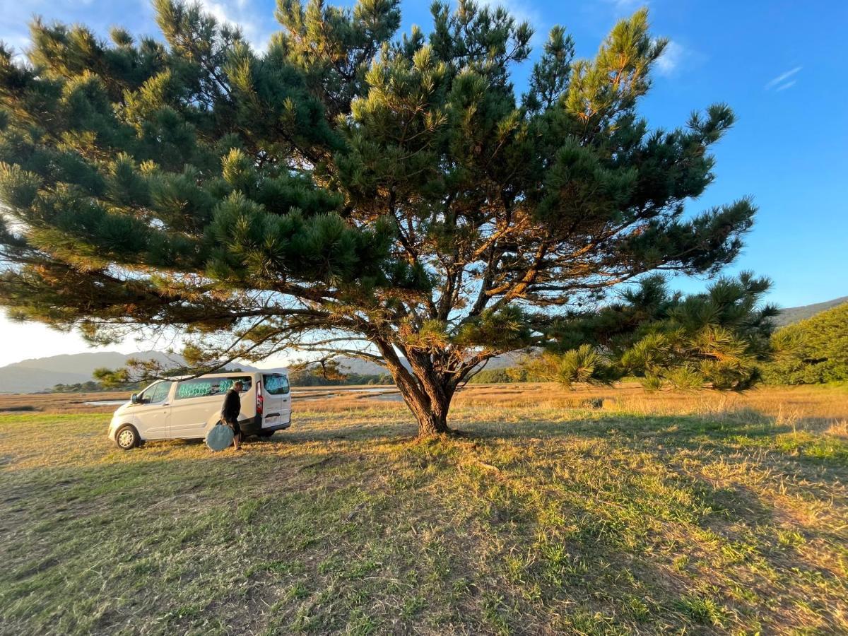 Apartament Playa De 2